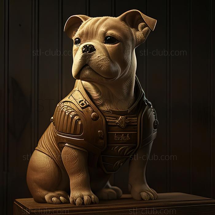 st Sergeant Stubby famous animal